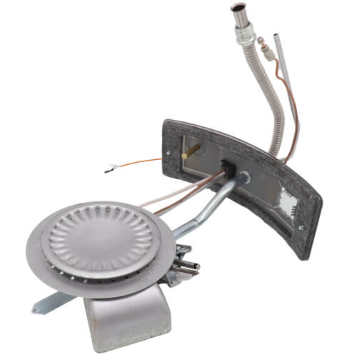 Main product image of Complete Burner/Door Assembly, Natural Gas (HSI Control Valves), 100111337