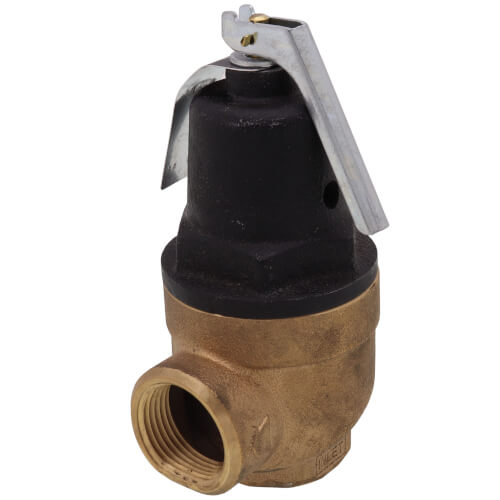 Main product image of Commercial Orientation Pressure Only Relief Valve, 1", 150#, 100111723