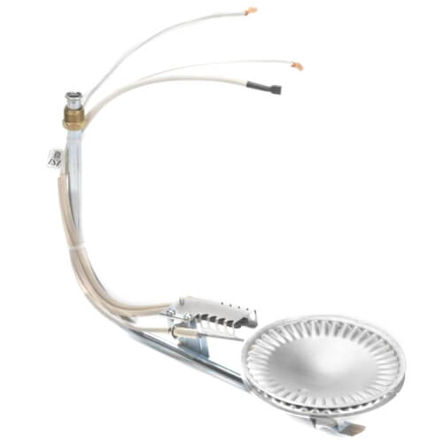 Main product image of Kit, Burner Assembly, Direct Vent, 100111889