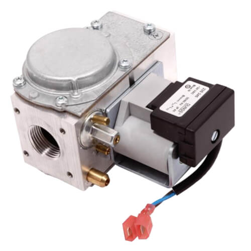 Main product image of Gas Control Valve, NG, 100111891