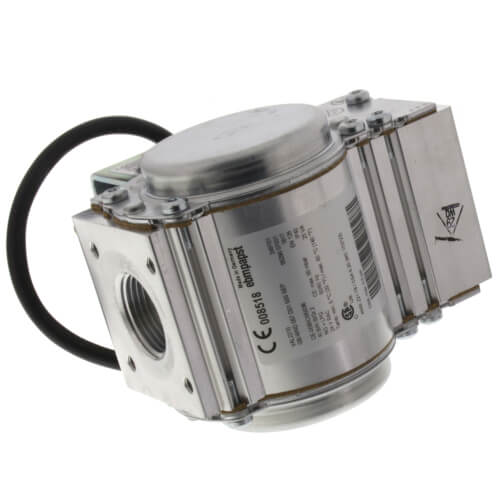 Main product image of Natural Gas Valve Assembly, 100172009