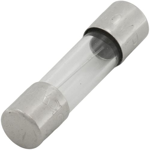 Main product image of Fuse, 5 Amp, 100208232