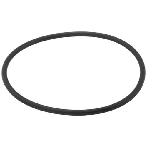 Main product image of Gasket, Venturi O-ring, 100208761