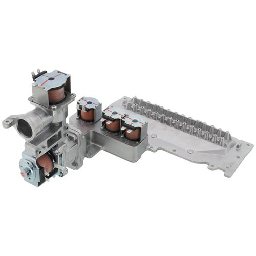 Main product image of Manifold/Gas Valve Assembly (Natural Gas), 100224093