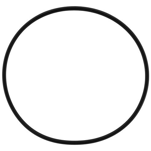 Main product image of Gasket Venturi, 100233705
