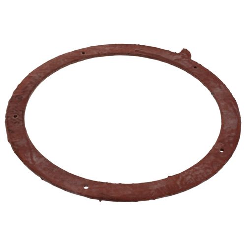 Main product image of Gasket, Heat Exchanger Top Plate, 100275573