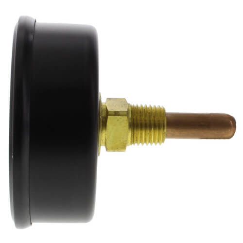 10028203 Burnham 10028203 21/2" Water Temperature/Pressure Gauge