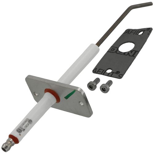 Main product image of Flame Sensor w/Gasket, 100330200