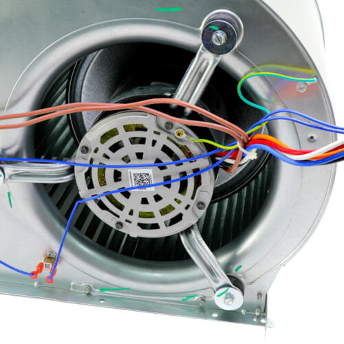 Main product image of Blower Assembly Replacement, 1003481