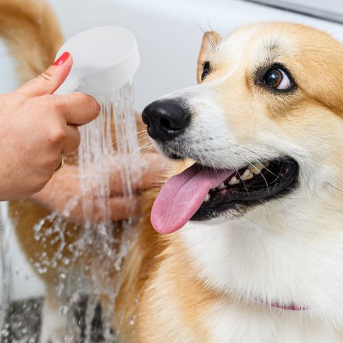 Main product image of VersaSpray Portable Bathtub Handheld Shower Sprayer For Non-Diverter Spouts