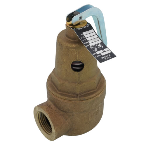 1" FNPT RVW60 2,728,000 BTU Bronze Hot Water Relief Valve, 75 PSIG