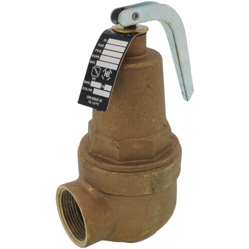 Main product image of 1" FNPT x 1-1/4" FNPT RVW61 1,570,000 BTU Bronze Hot Water Relief Valve (30 psi)