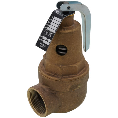Main product image of 1" FNPT x 1-1/4" FNPT RVW61 3,200,000 BTU Bronze Hot Water Relief Valve (75 psi)
