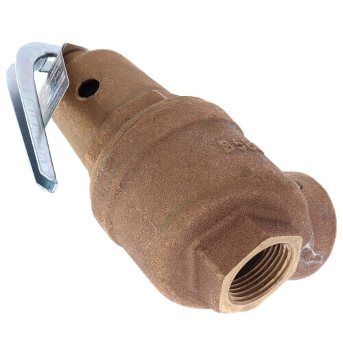 Main product image of 1-1/2" FNPT x 2" FNPT RVW61 5,400,000 BTU Bronze Hot Water Relief Valve (50 psi)