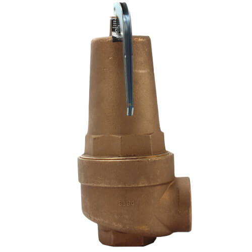 Main product image of 2" FNPT x 2-1/2" FNPT RVW61 6,091,000 BTU Bronze Hot Water Relief Valve (30 psi)