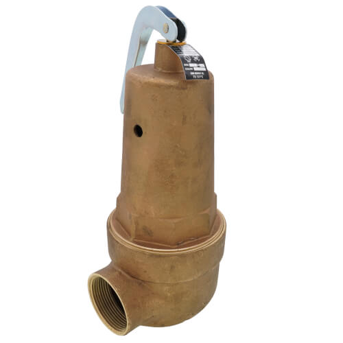 Main product image of 2" FNPT x 2-1/2" FNPT RVW61 10,305,000 BTU Bronze Hot Water Relief Valve (60 psi)