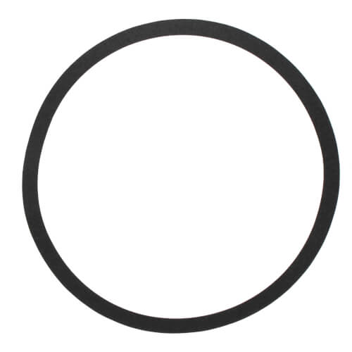 Main product image of Body Gasket for S69-BF1 Pump