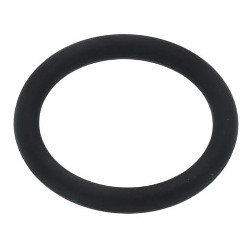 Main product image of O ring, 107000325