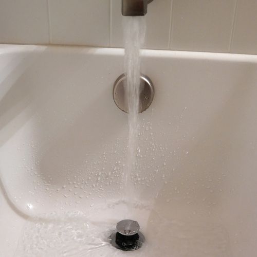 Main product image of 2-in-1 Bathtub Hair Catcher and Stopper