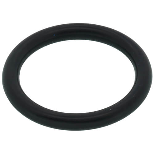Main product image of O ring, 109000252