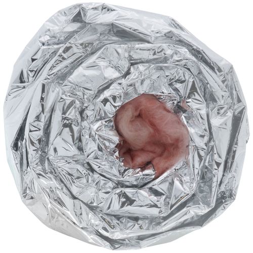 Main product image of 6" x 5' F206 Sleeve (Silver)