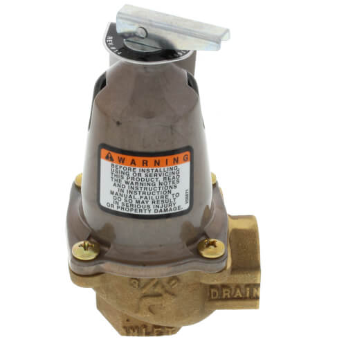 790-100, 2,075,000 BTU Capacity Relief Valve