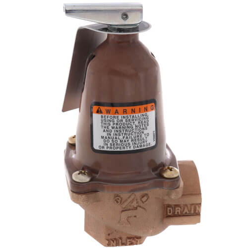 Main product image of 790-125, 2,535,000 BTU Capacity Relief Valve