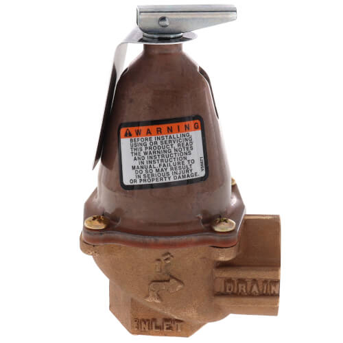 Main product image of 1170-125, 3,735,000 BTU Capacity Relief Valve