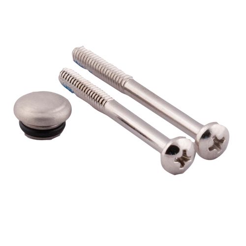 Main product image of Brushed Nickel Handle Cap & Screw, 114343bn