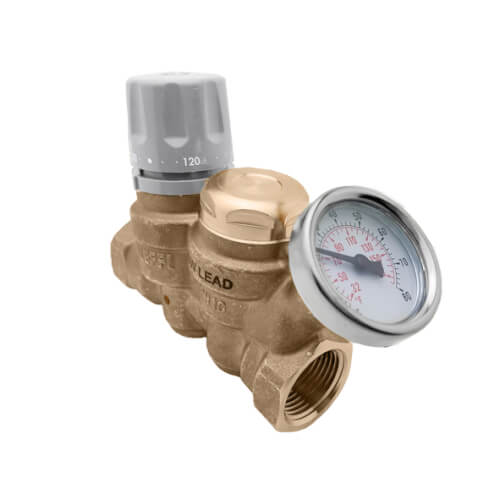 Main product image of 1/2" FNPT ThermoSetter Ad. Thermal BV w/ 160-Degree (F) Thermal Disinfection Cartridge, Check Valve & Pressure Gauge