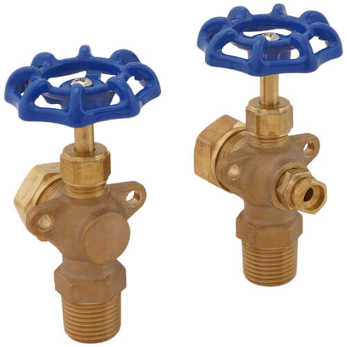 Main product image of 11" Glass Water Gauge Set, 14622005