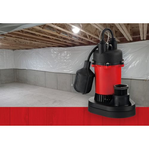 14942742 Red Lion Pumps 14942742 RLSP50T 115V, 1/2 HP, 3600 GPH