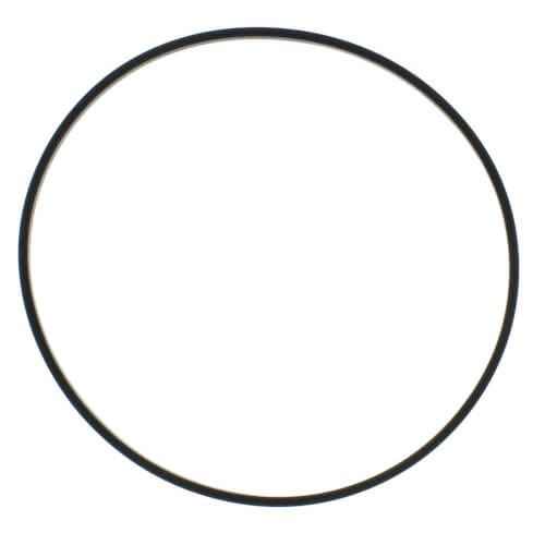 Main product image of Square Cut O-ring for Heavy-Duty Clear Housings (W10-BC & W15-BC)
