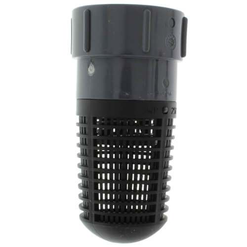 Main product image of 2" FPT PVC Foot Valve