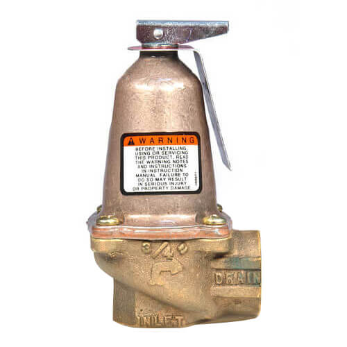 Main product image of 250-2-50, Relief Valve 2" NPT, 50 psi (3.5 kg/cm2)