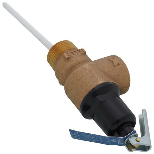 Main product image of 1" MNPT Commercial ASME T&P Relief Valve (5" Element, 125 psi)