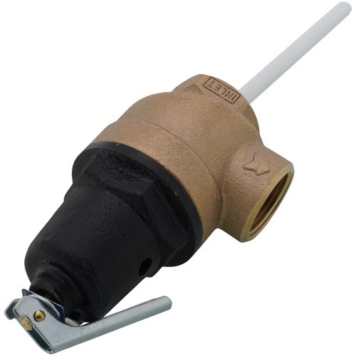 Main product image of 1" FNPT Commercial ASME T&P Relief Valve (5" Element, 150 psi)