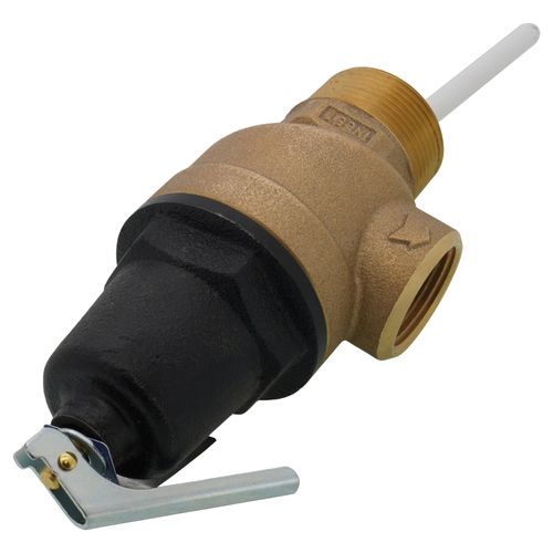 Main product image of 1-1/4" MNPT x 1" FNPT Commercial ASME T&P Relief Valve (4" Element, 150 psi)