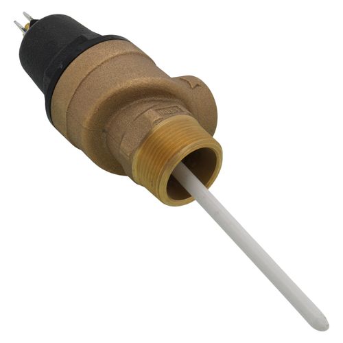 Main product image of 1-1/4" MNPT x 1" FNPT Commercial ASME T&P Relief Valve (4" Element, 150 psi)