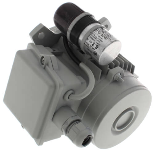 Main product image of WS23/33 Blower Motor, 193843