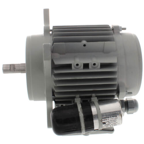 Main product image of WS23/33 Blower Motor, 193843