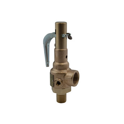 Main product image of 19 Series 2" MNPT x 2-1/2" FNPT 14,170 LBS/HR Safety Relief Valve (200 psi)