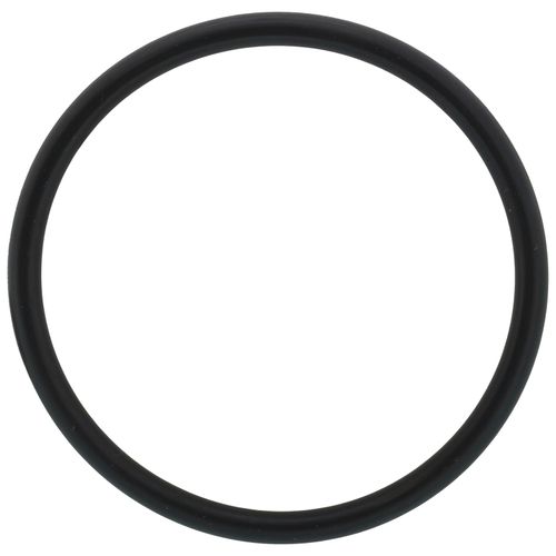 Main product image of O-ring, EX38C, 209000173
