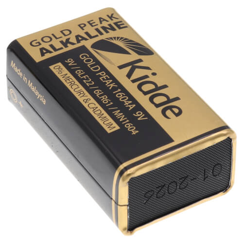 Two Year Power Supply 9 Volt Battery (2 Pack)