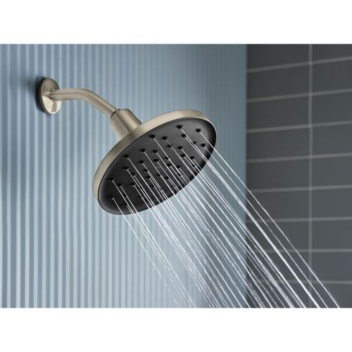 Verso Adjustable 9" Diameter Rainshower, 2.5 GPM, 220R3BN (Spot Resist)