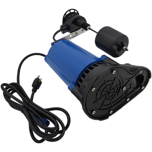 Main product image of FSPP33TCDV10 Top Suction Cast Iron Sump Pump, (1/3 HP)