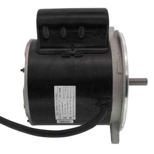 Main product image of Motor (1/5 HP, 115 V)