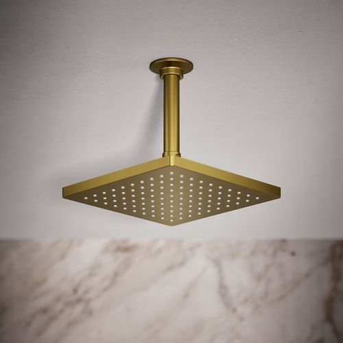 Main product image of Honesty 8" Rain Showerhead, 1.75 GPM (Moderne Brass), K-26148-G-2MB