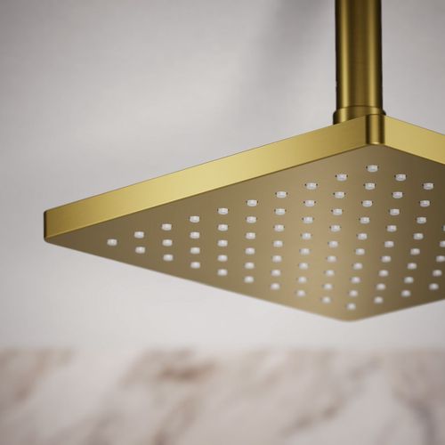 Main product image of Honesty 8" Rain Showerhead, 1.75 GPM (Moderne Brass), K-26148-G-2MB