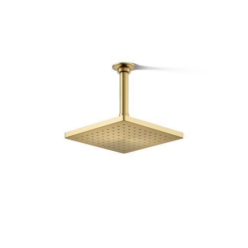 Main product image of Honesty 8" Rain Showerhead, 1.75 GPM (Moderne Brass), K-26148-G-2MB